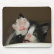 "Hola!" cojín de ratón del gatito Tapete De Ratones