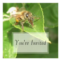 Hola invitaciones de la abeja anuncio