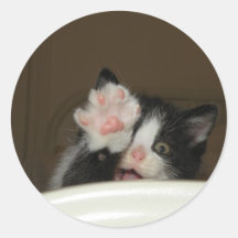 "Hola" pegatinas del gatito