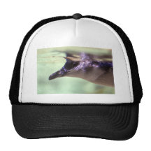 Hola pingüino subacuático gorro de camionero
