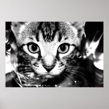 ¡HOLA! POSTER