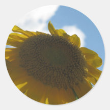 Hola sol etiqueta