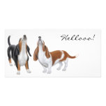 Hola tarjetas de la foto del perro del Bassett Tarjetas Fotograficas
