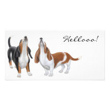 Hola tarjetas de la foto del perro del Bassett Tarjetas Fotograficas