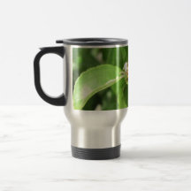 Hola tazas del viaje de la abeja