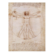 Hombre de Vitruvian Postales