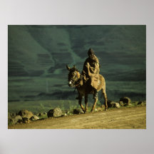 Hombre del Basotho en burro Poster