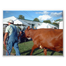 Hombre en guardapolvos con la vaca de Brown Cojinete