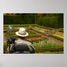 Hombre lisiado en silla de ruedas en jardín poster