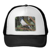 Honeyeater hecho frente azul 9Y209D-251 Gorros