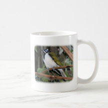 Honeyeater hecho frente azul 9Y209D-251 Tazas De Café