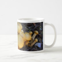 Hongo de setas tazas