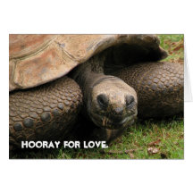 Hooray para el amor felicitación