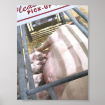 Hora de comer posters