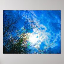 Horizonte a través de ramas de árbol de la caída - poster