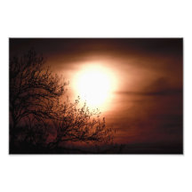 Horizonte del Firebrick Foto