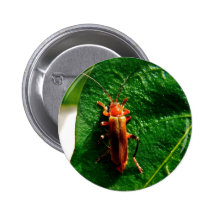 Hormiga frondosa pin