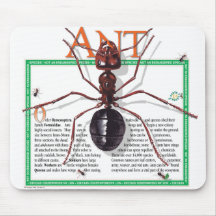 Hormiga Mousepad Alfombrilla De Raton