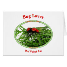 Hormiga roja del terciopelo del amante del insecto felicitación
