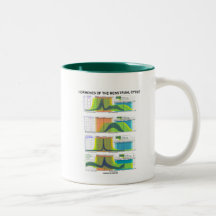 Hormonas del ciclo menstrual (menstruación) tazas de café