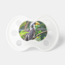 hornbill en perca en plantas verdes chupete de bebé