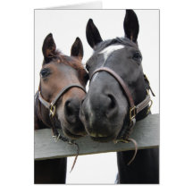 Horse-Love-1 Tarjeta