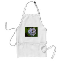 Hortensie Schürzen