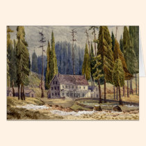 Hotel en la arboleda de los árboles de Mamoth tarjetas