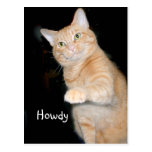 Howdy Tarjetas Postales