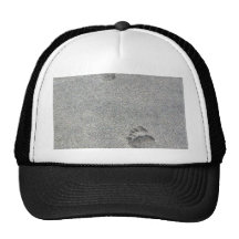 Huellas en arena gorros  