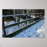 Huellas en la impresión de la foto de la nieve poster