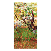 Huerta en el flor, Vincent van Gogh. Tarjetas Personales Con Fotos