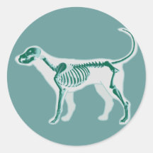 HUESOS DE LA RADIOGRAFÍA DE LA ANATOMÍA DEL PERRO PEGATINAS  