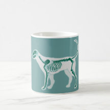 HUESOS DEL VETERINARIO DE LA RADIOGRAFÍA DE LA ANA TAZAS