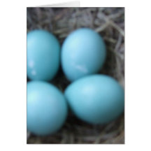 Huevo de los petirrojos de la primavera en pájaros tarjetas