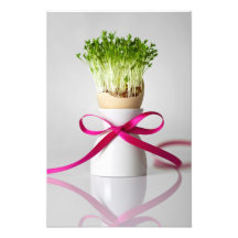Huevo de Pascua Shell con verdes y la cinta rosada Fotos
