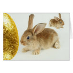 Huevo y conejitos de oro de Pascua Felicitaciones