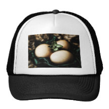 Huevos de Pascua elegantes Gorras