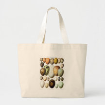 Huevos del pato bolsa de mano