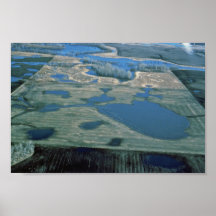Humedal del agujero de la pradera impresiones