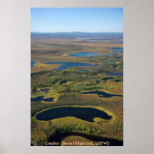 Humedales de Alaska/de Kanuti, río superior de Kan Impresiones