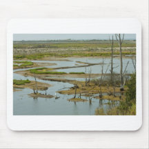Humedales de Bolsa Chica Tapetes De Ratones
