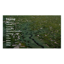 Humedales del delta de Kuskokwim - visión aérea Plantilla De Tarjeta De Visita