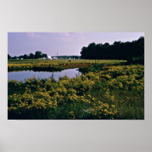 Humedales, río superior de Choptank, Delaware Posters