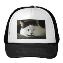 Humor blanco y negro del gato gorro