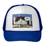 Humor de Rod Blagojevich Gorras De Camionero