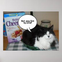 Humor del gato/de pelo largo poster