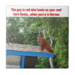 Humor del navidad del orangután azulejo