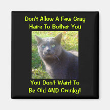 Humor irritable del gato imanes  
