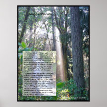 Humores del verde poster